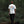 Organic Cin Cin Tee