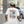 Organic Florida Tee