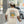Organic Mango Tee
